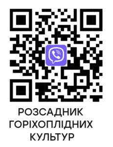 photo_2026-03-24_18-47-20